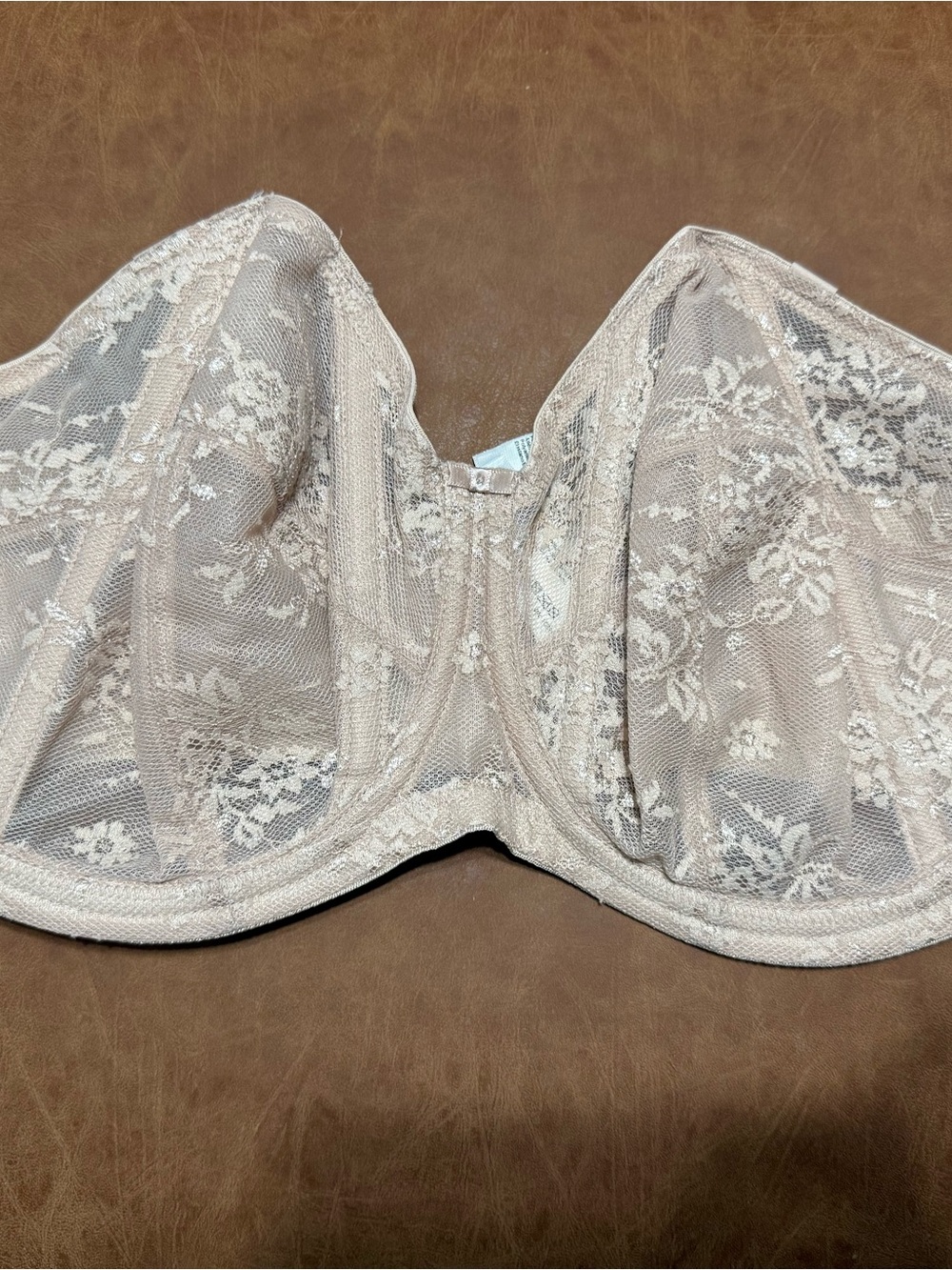 Goddess Sheer Lace Underwire Bra in Beige